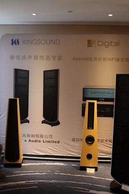 【展會(huì)巡禮】求新求變 前景無(wú)限:第十五屆新深圳音響展(展房篇)